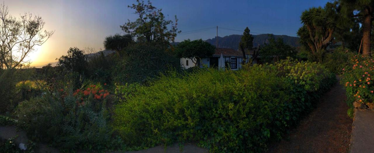ホテルEl Oasis エル・パソ エクステリア 写真